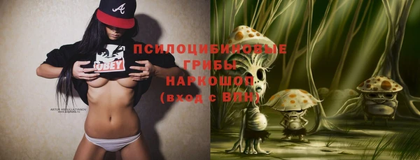винт Алексин