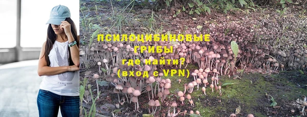 a pvp Алексеевка