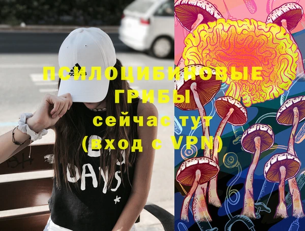 винт Алексин