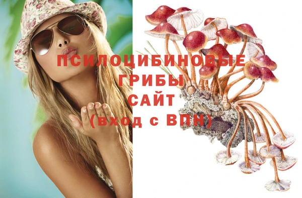 MDMA Premium VHQ Алзамай