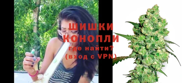 гашик Пестово